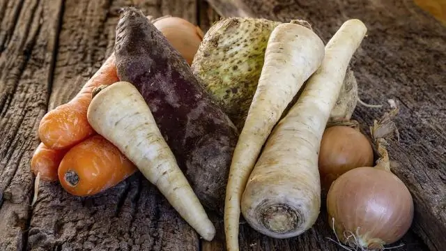 Откуда родом репы?