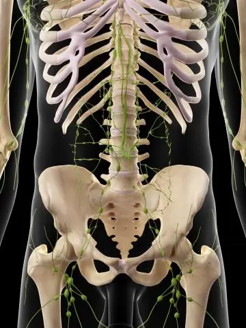 Что такое код CPT для тотальной абдоминальной гистерэктомии?