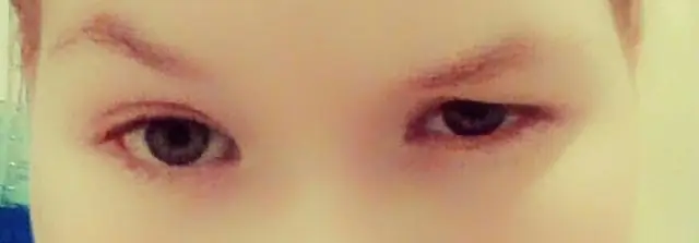 Вы можете получить что-нибудь от ячменя?