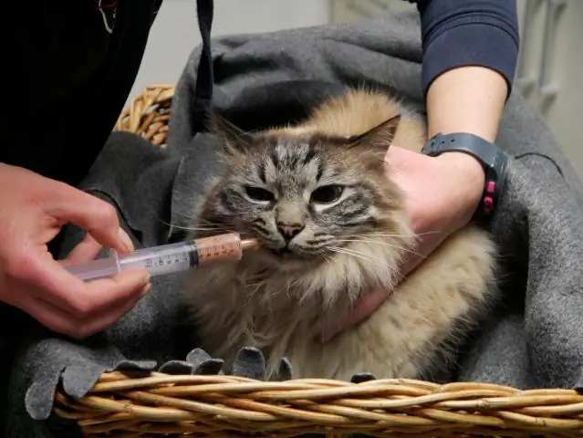 Что такое кошачий триадит?