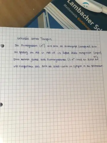 Чем раковые клетки отличаются от других клеток?