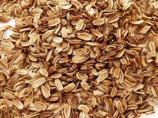 Астра - однолетнее или многолетнее?