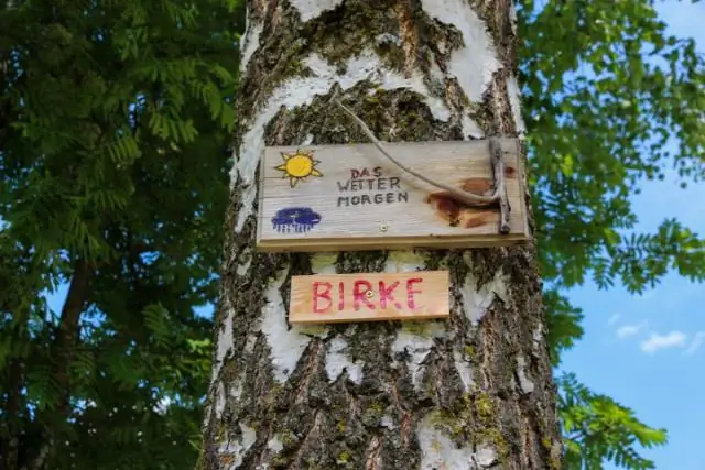 Уходят ли бородавки?