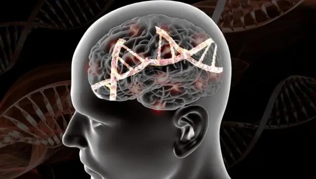 Что такое стрессовая модель диатеза при шизофрении?