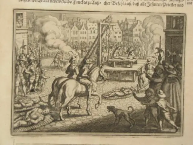 Ребра прикрепляются к поперечному отростку?