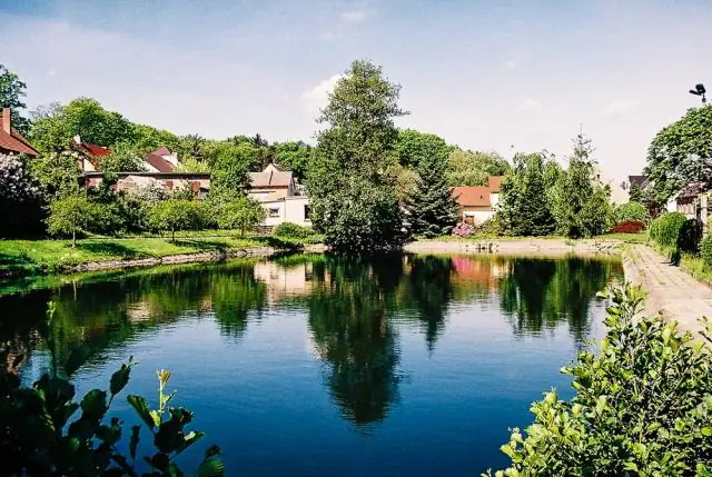 Каково общее название Анцефа?