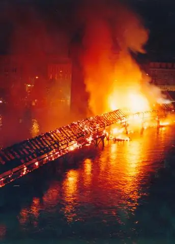 В чем причина дефектов нервной трубки?