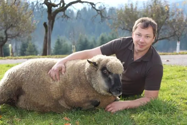 Сколько нечувствительной жидкости вы теряете?