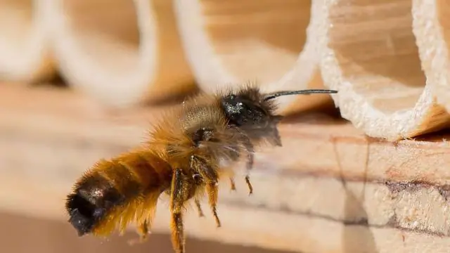 Каких продуктов следует избегать при подагре?