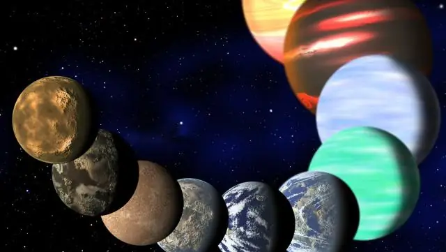 Какой лимфатический узел самый большой?