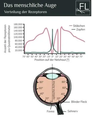 Как ресницы попадают в глаз?