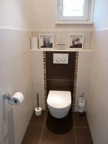 Насколько мал коричневый паук-отшельник?