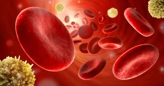 Что такое продукт распада гема?