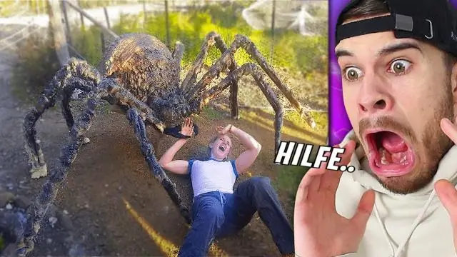 Где снимали ночных животных?