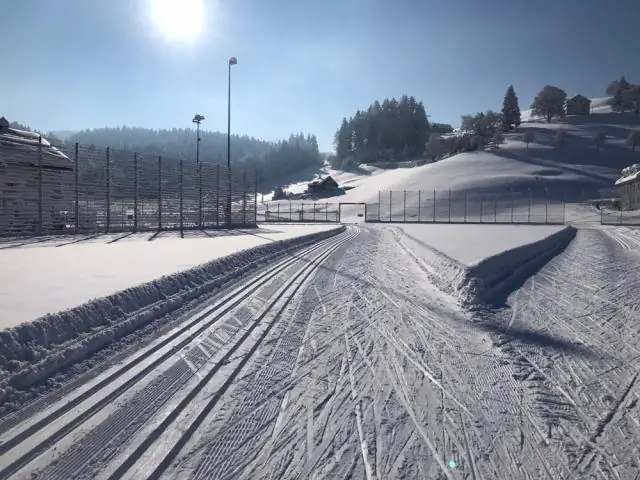 Кто такой Иван Павлов и каков его вклад в психологию?