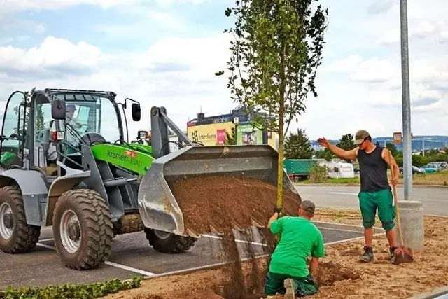 Кто делает раундап для газонов?