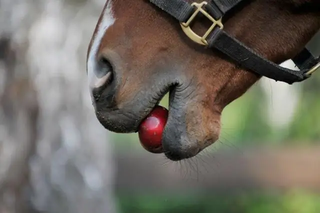 Как вводится o2?