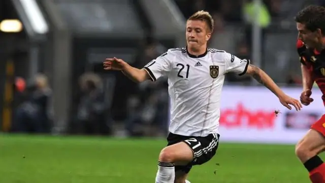 Может ли УЗИ щитовидной железы обнаружить болезнь Хашимото?