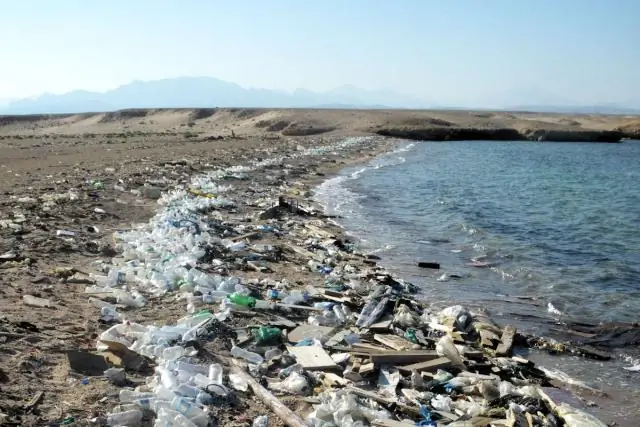 Можно ли пить воду перед тестом на сахар натощак?