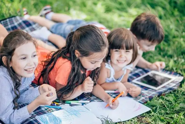 Намерения, потребности, преимущества и барьеры: опрос двадцати девяти стран, участвующих в сотрудничестве в области здравоохранения в рамках инициативы «Пояс и дорога»