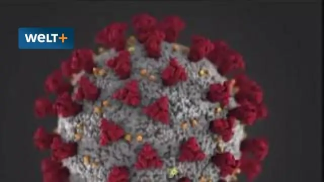 Что влияет на питье 11-летних? Результаты исследования тысячелетия