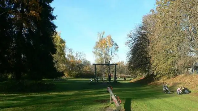 Парадокс вреда алкоголя: использование национального опроса для изучения того, как алкоголь может непропорционально влиять на здоровье у обездоленных людей