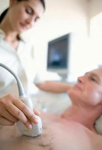 Генетическая перепись идентифицирует неожиданно значительную популяцию исчезающего крупного млекопитающего в фрагментированном лесном ландшафте