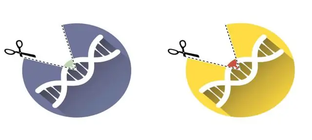 Оптимизированный протокол CRISPR / Cas9 для создания целевых мутаций в гомеологичных генах и эффективный протокол генотипирования для идентификации отредактированных событий в пшен