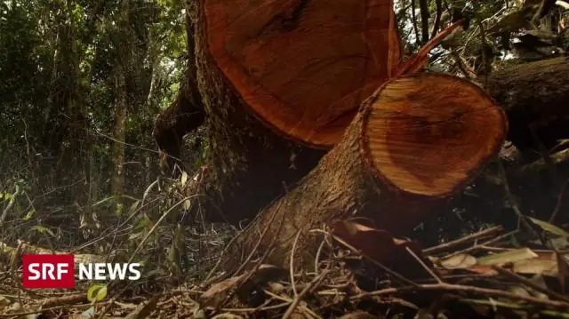 Корреляция между увеличением смертности от опиоидов, связанной с незаконными / синтетическими опиоидами, и сокращением медицинского распределения опиоидов - предварительные анализы