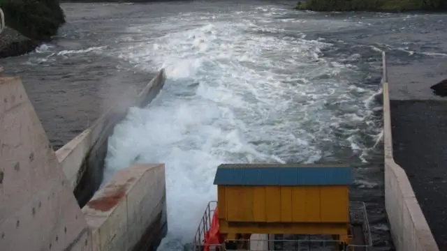 Улучшение биомассы и липидов в морских водорослях эндофитным грибом Piriformospora Indica