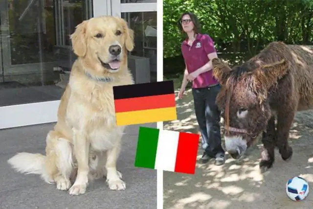 MS2CNN: прогнозирование спектра МС / МС на основе последовательности белка с использованием глубоких сверточных нейронных сетей