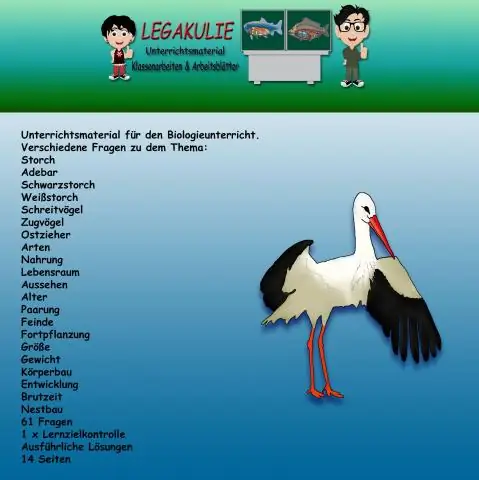 Разработка теста цитотоксичности нейтрального красного BALB / C 3T3 с использованием основной системы воздействия сигаретного дыма