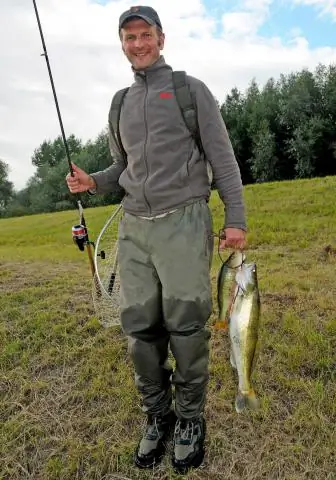 Телемедицина в паллиативной помощи описывается, но не оценивается: систематический обзор