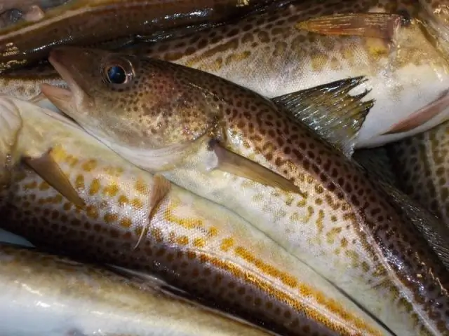 Влияние экологических факторов на присутствие видов триатомина, связанных с древесной средой обитания хозяина Trypanosoma Cruzi