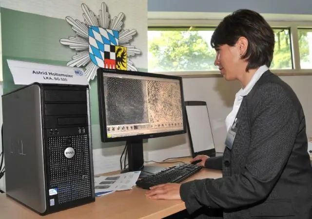 Понимание генетической регуляции MiRNA в мозге мыши