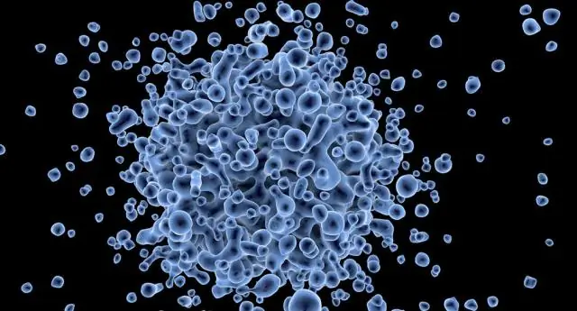 Интеграция, изобилие и передача мутаций и трансгенов в серии линий сои CRISPR / Cas9