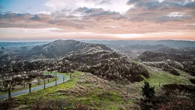 Политика энергетических ландшафтов: влияние местных инициатив против ветра на государственную политику в Саксонии, Германия