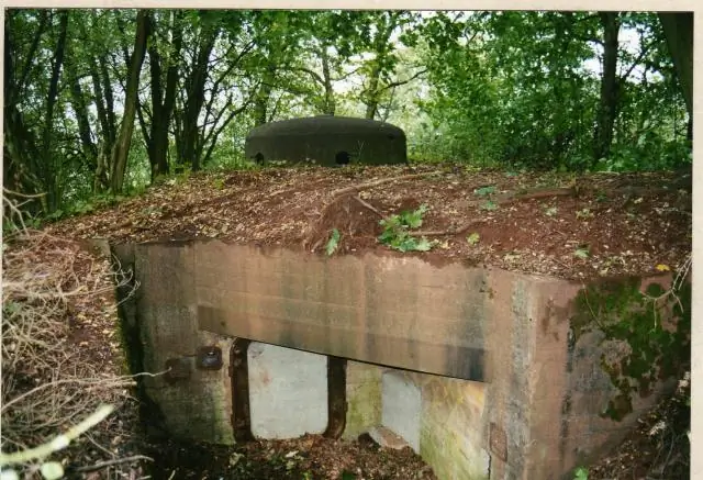 Ликвидация Rhodnius Prolixus в Центральной Америке