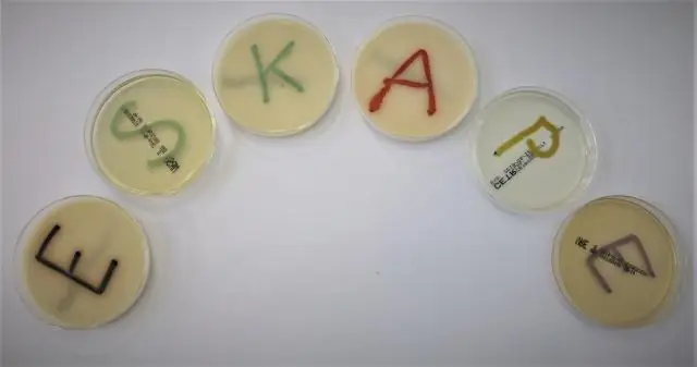 Управление заражением вирусом Зика