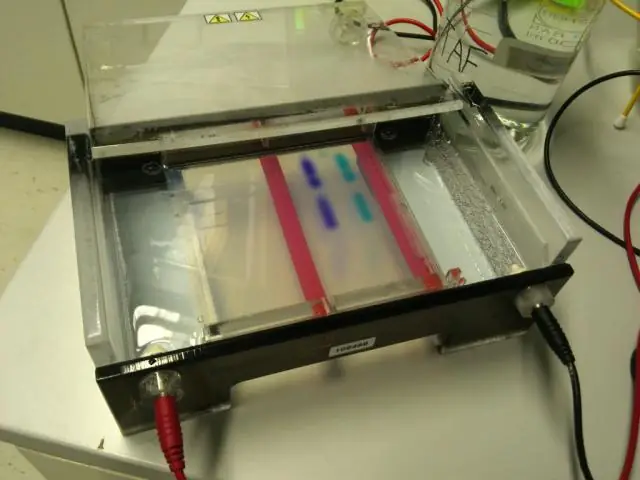 Характеризуя связанный с опухолью антиген, связанный с эндогенным ретровирусом (HERV): анализ HERV-K (HML-2), обогащенный РНК-Seq, в клеточных линиях лимфомы мантийных клеток