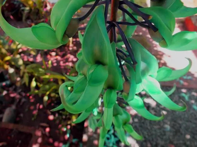 Эволюция и разнообразие ВИЧ у пациентов, получающих АРТ