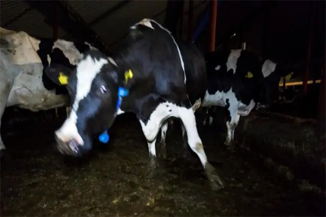 Ожирение и рак предстательной железы: сигнатура экспрессии генов перипростатической жировой ткани человека