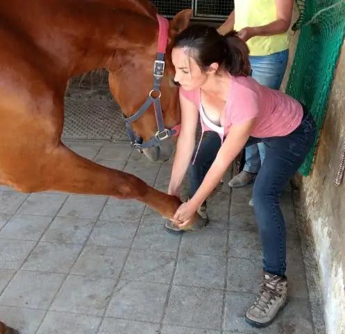 Поиск оптимальной цели ТДК для моторной реабилитации