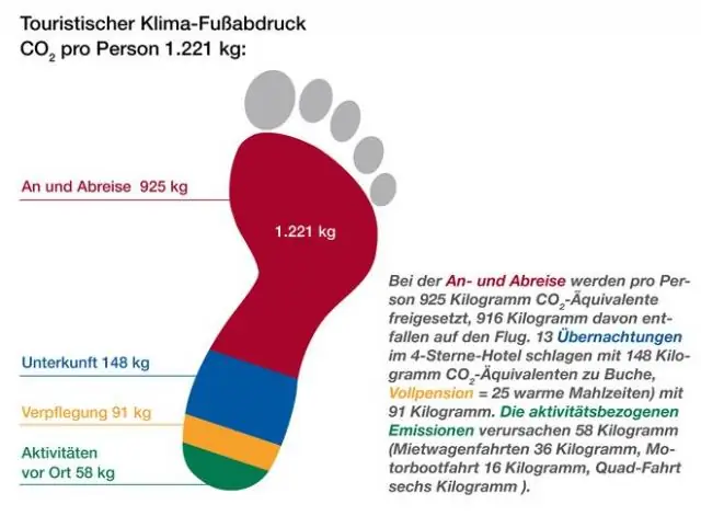 Мы уже на месте? Долгий путь к развитию эффективных симбиотических ассоциаций между азотфиксирующими бактериями и зернобобовыми культурами