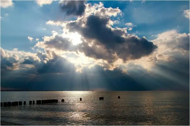 Малая GTPase Rsg1 важна для цитоплазматической локализации и аксонемальной динамики внутрифлагеллярных транспортных белков