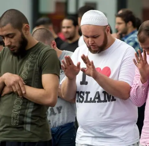 Гражданская толпа и эксперты: наблюдательская изменчивость в основанном на изображении фенотипировании растений