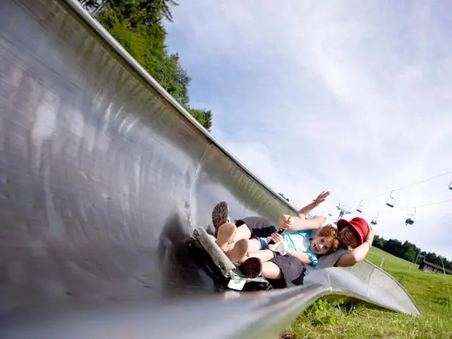 Подтверждение кардиограмм, полученных на ЭКГ, у атлантической трески (Gadus Morhua L.) с помощью имплантируемой системы регистрации данных