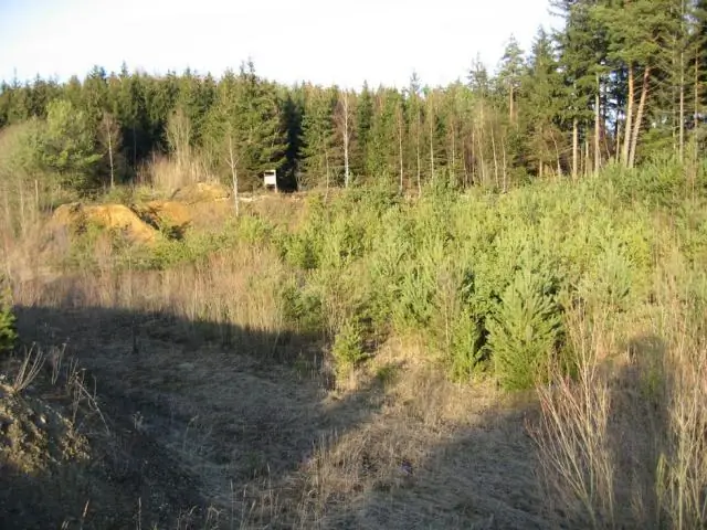 Пригодность среды обитания не отражает суть определяемых животными коридоров