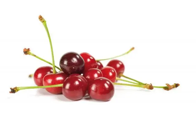 Отсутствие системных реакций на вакцинацию против гриппа у детей с повышенной чувствительностью к яйцам, получавших третичную помощь