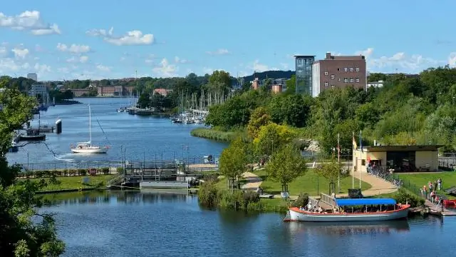 Хроническая кластерная головная боль и гипофиз